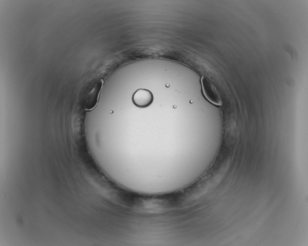 X0000113030268200909101904