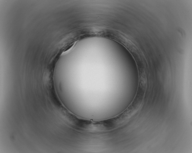 X0000113030270200909101904