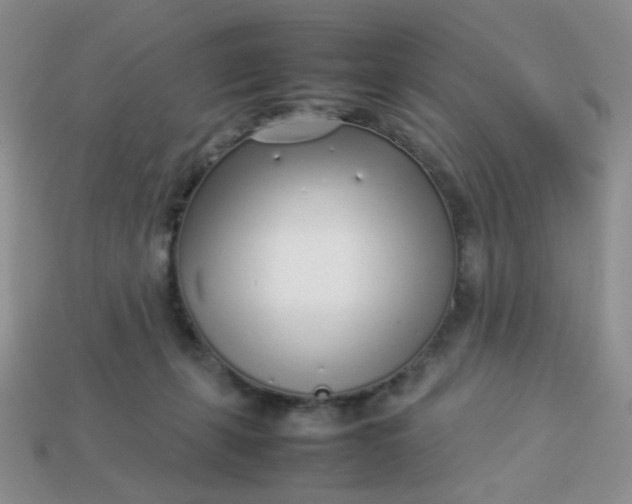 X0000113030271200909101904