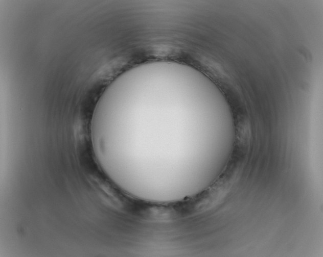 X0000113030272200909101904