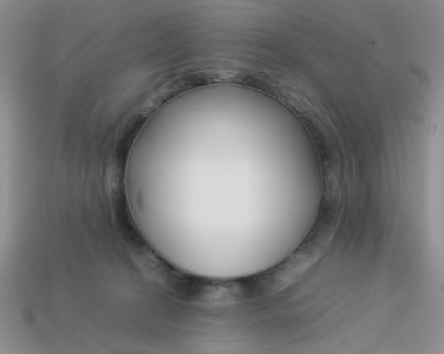 X0000113030274200909101904