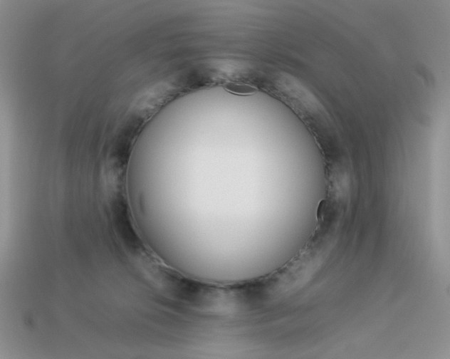 X0000113030276200909101904