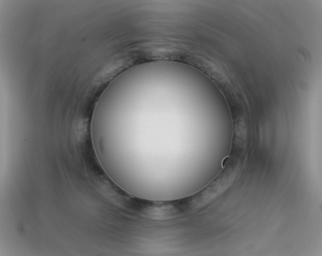 X0000113030278200909101904