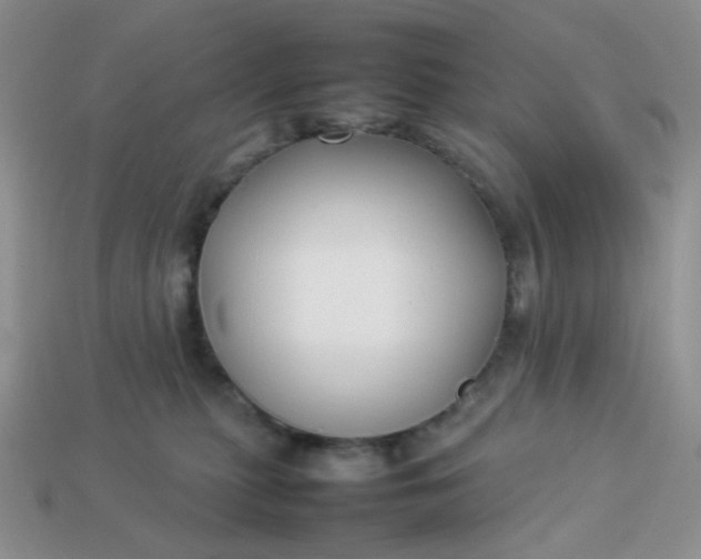 X0000113030279200909101904