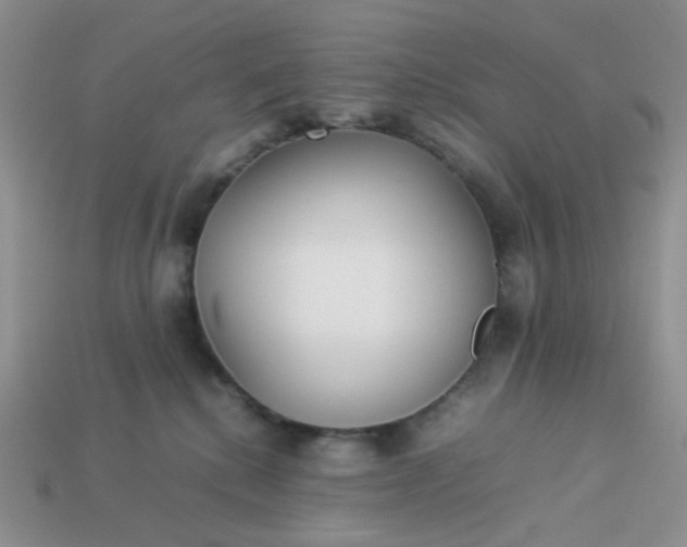 X0000113030280200909101904