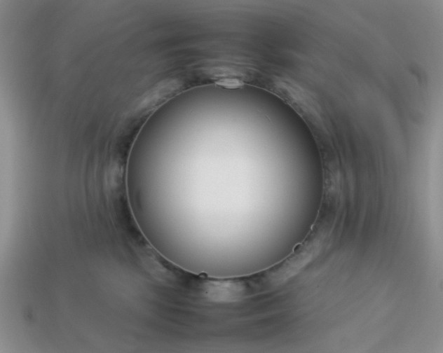 X0000113030281200909101904