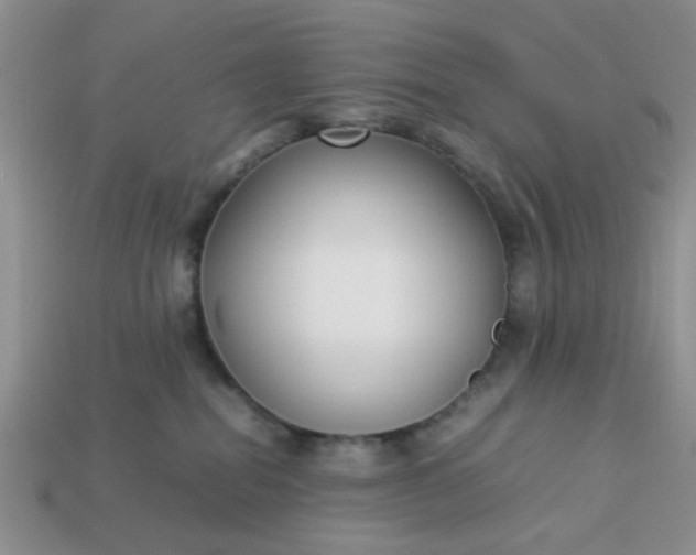 X0000113030282200909101904