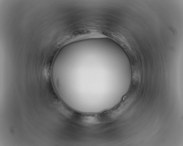 X0000113030285200909101904