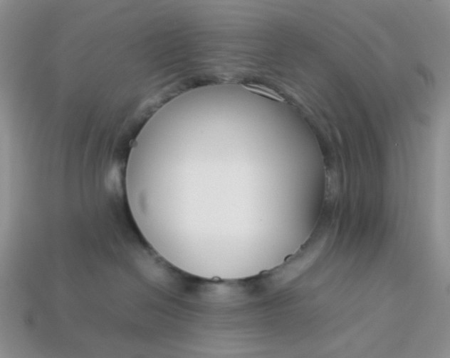 X0000113030286200909101904