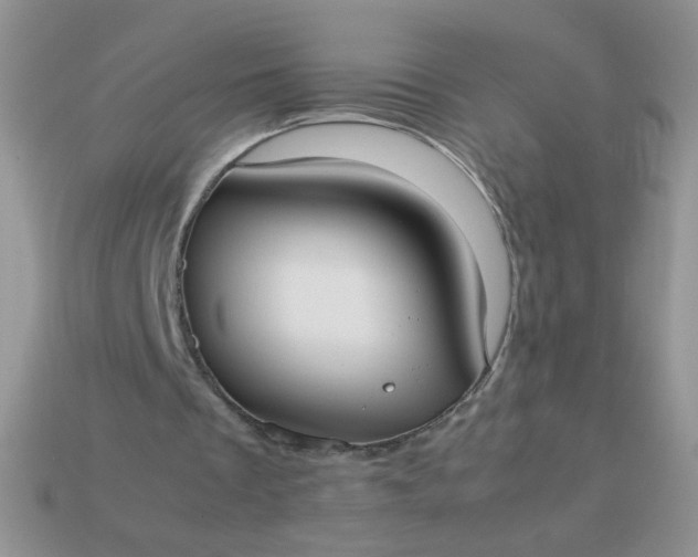 X0000113030289200909101903