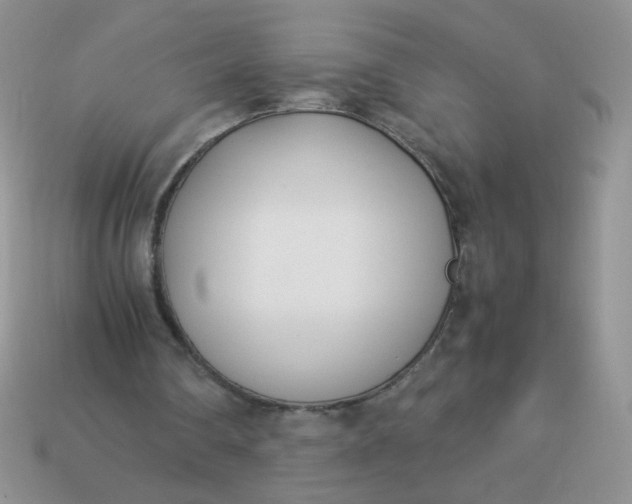 X0000113030290200909101903