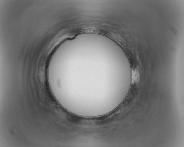 X0000113030291200909101903