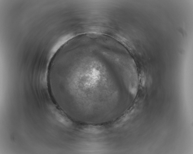 X0000113030292200909101903