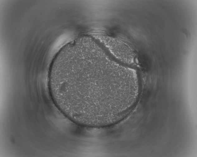 X0000113030293200909101903