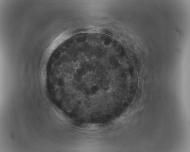 X0000113030295200909101903