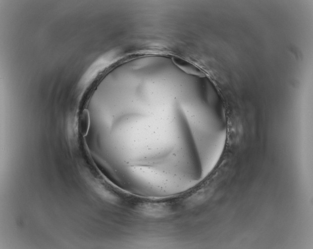 X0000113030296200909101903