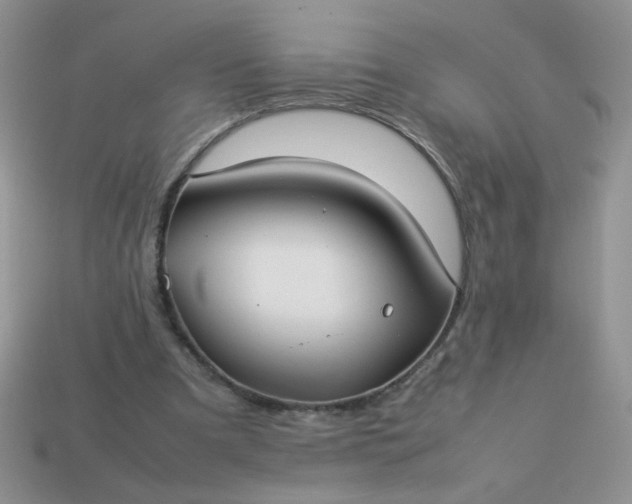 X0000113030297200909101903