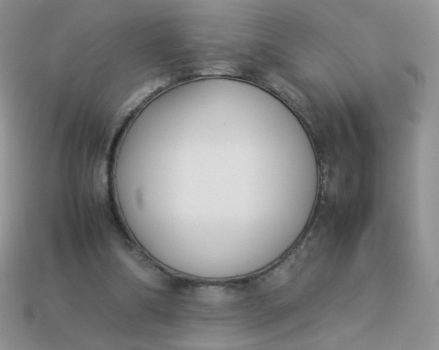 X0000113030298200909101903