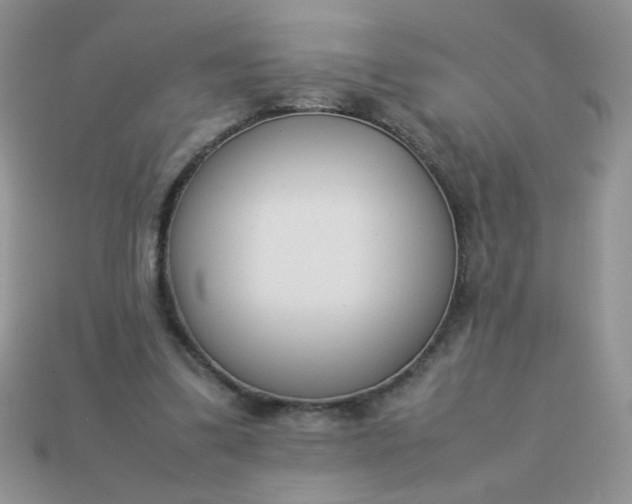 X0000113030299200909101903