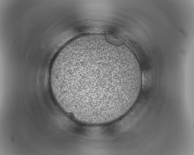 X0000113030301200909101903