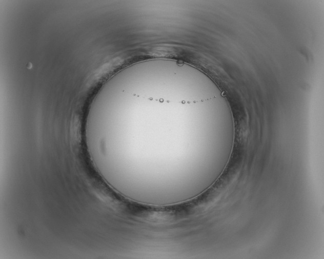 X0000113030303200909101903