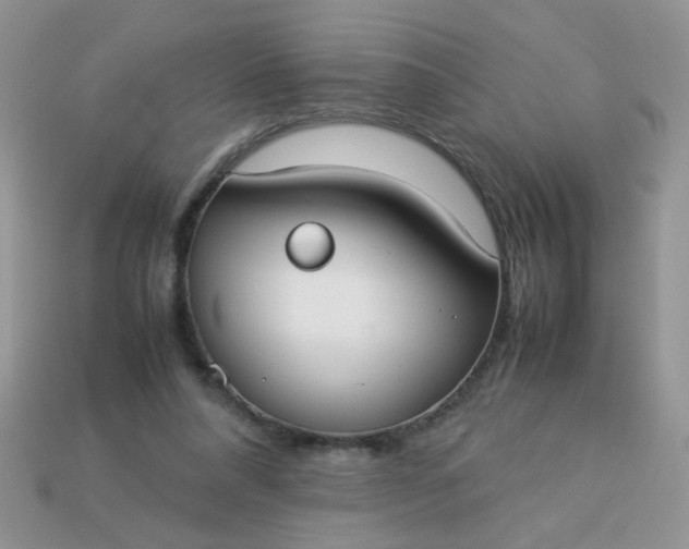 X0000113030304200909101903