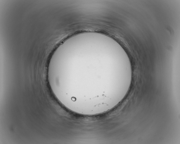 X0000113030305200909101903