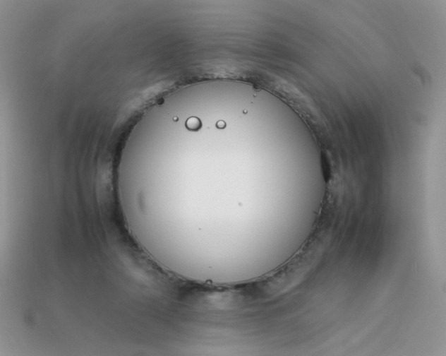 X0000113030306200909101903