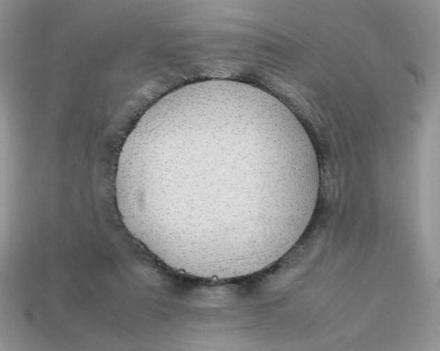 X0000113030307200909101903