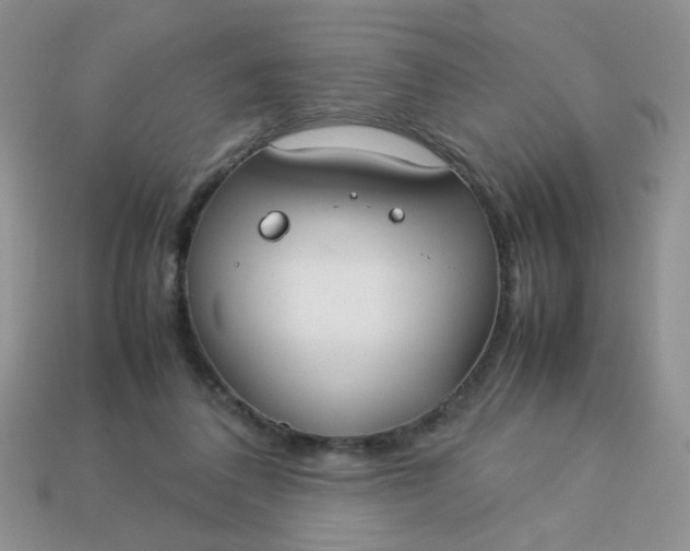 X0000113030308200909101903