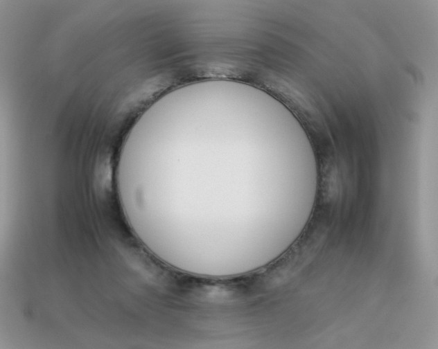 X0000113030310200909101903