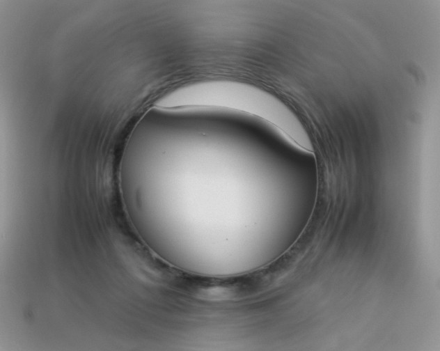 X0000113030312200909101903