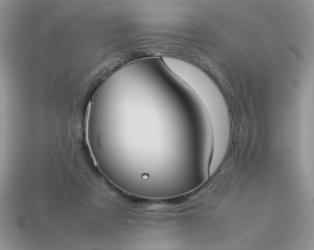 X0000113030313200909101903