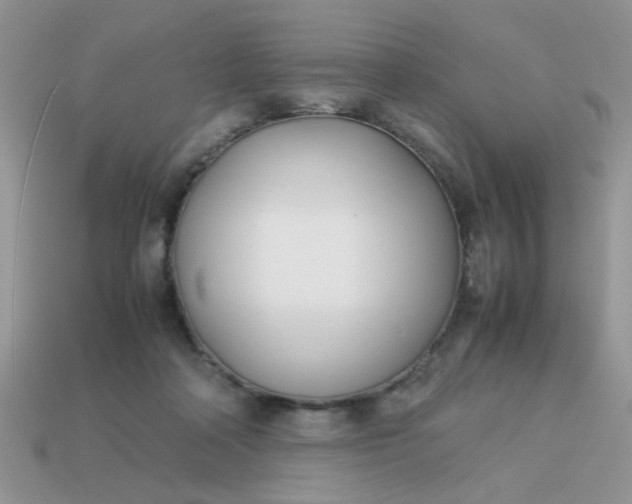 X0000113030314200909101903