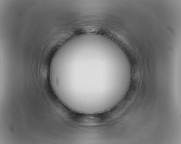 X0000113030315200909101903