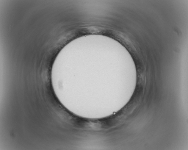 X0000113030317200909101903