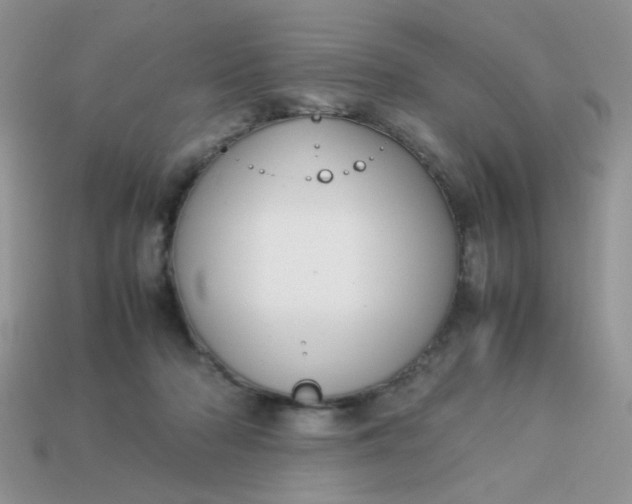 X0000113030318200909101903