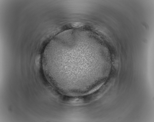 X0000113030319200909101903