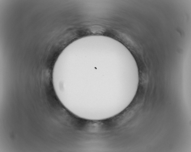 X0000113030321200909101903