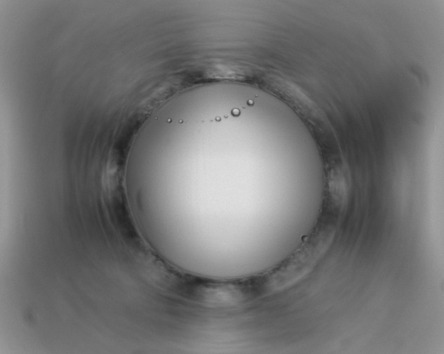 X0000113030322200909101903