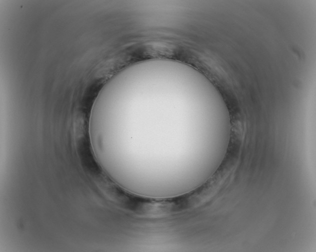 X0000113030323200909101903