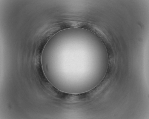 X0000113030325200909101903