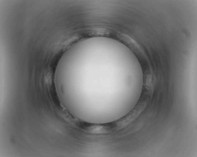 X0000113030326200909101903