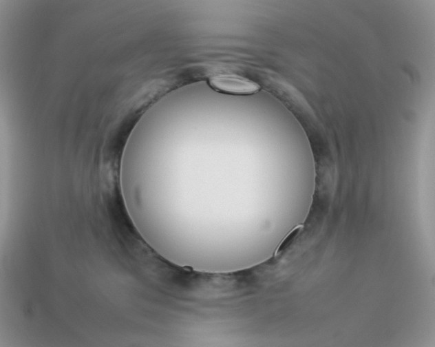 X0000113030329200909101903