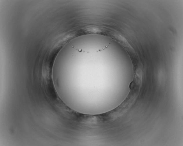 X0000113030330200909101903