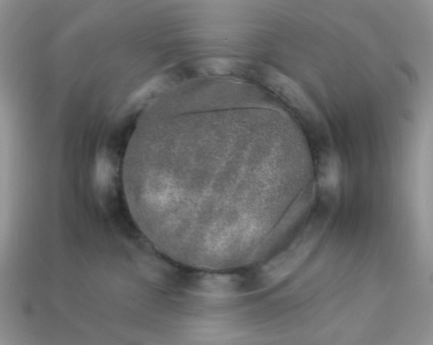 X0000113030332200909101903