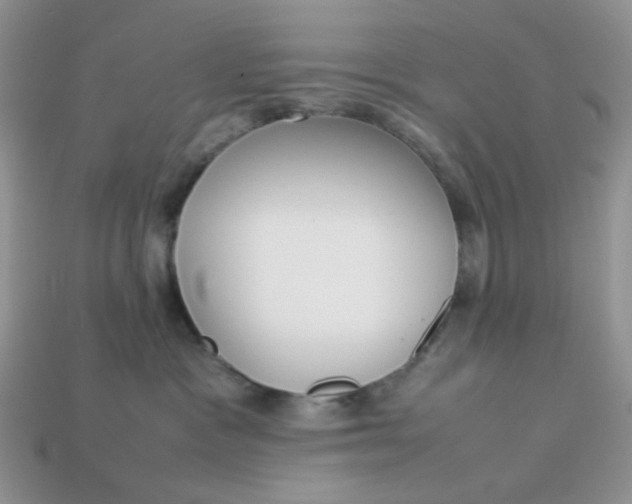 X0000113030333200909101903