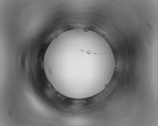 X0000113030334200909101903