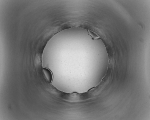 X0000113030335200909101903