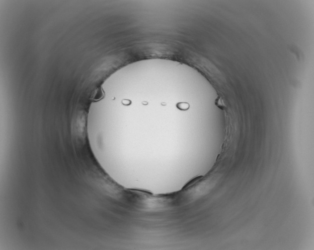 X0000113030336200909101903